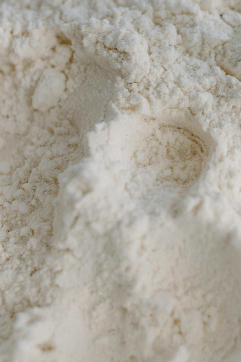 Reisprotein